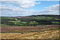 SE5591 : Moorland on western side of Bilsdale by Trevor Littlewood