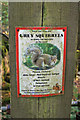 NY5234 : Squirrel notice by Richard Dorrell