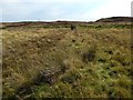 NS2474 : Remains of a field boundary by Lairich Rig