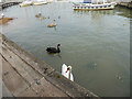 SU5302 : Hillhead Harbour near Titchfield Haven, Stubbington, Hampshire by Christine Matthews