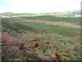 SE1540 : Path crossing Bracken Hill, Baildon Moor by Christine Johnstone