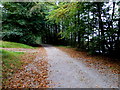 H5776 : Pathway, Loughmacrory by Kenneth  Allen