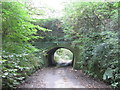 SD9201 : Lane passing under the Hollinwood Branch Canal by John Slater