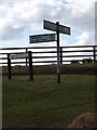 TL7249 : Roadsigns on Chimney Street by Geographer