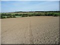 SE2823 : Public footpath across a harrowed field by Christine Johnstone