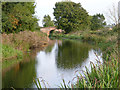 SK7288 : Chesterfield Canal near Clayworth by Alan Murray-Rust