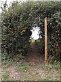 TM1058 : Footpath off Fen Lane by Geographer