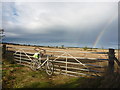 NT8966 : Rural Berwickshire : Gateway And Rainbow Near Coldingham by Richard West