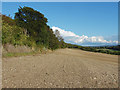 TQ0448 : Ploughed field, Albury Downs by Alan Hunt