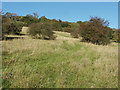 TQ0449 : Open scrub, Albury Downs by Alan Hunt