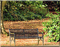 J3170 : Autumn seat, Musgrave Park, Belfast (October 2014) by Albert Bridge