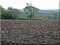 TA0313 : Ploughed Field on Elsham Hill by David Wright