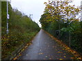 H4472 : Pathway, Omagh by Kenneth  Allen