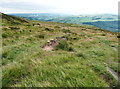 SE0127 : The Calderdale Way at the junction with the path southwards by Humphrey Bolton