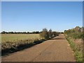 TL3468 : Straight road on Far Fen by John Sutton