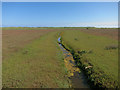 TF5659 : Saltmarsh channel by Hugh Venables