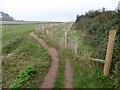 SY0984 : Path diversion above Chiselbury Bay by David Smith