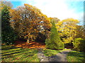 NZ3955 : Autumn colours, Backhouse Park, Sunderland by Malc McDonald