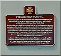 SJ8989 : Plaque to Private Wilf Wood V.C. by Gerald England