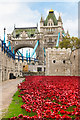 TQ3380 : Tower poppies by Ian Capper