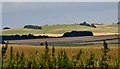 SU1069 : Downland near Avebury by nick macneill