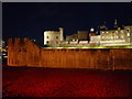 TQ3380 : Poppies at The Tower of London #14 by Richard Humphrey