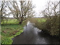 TM1678 : River Waveney at Billingford Bridge by Geographer