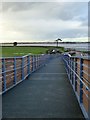 SX9784 : Exe estuary from NCN2 bridge by David Smith