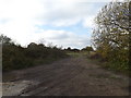 TM1981 : Field entrance off Mill Road by Geographer