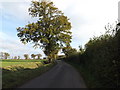 TM1781 : Langmere Road, Dickleburgh by Geographer