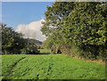 SX8174 : Field path from Liverton by Derek Harper