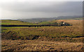 NY8415 : Moorland descending towards Powbrand Sike by Trevor Littlewood