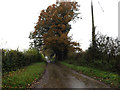 TM1480 : Burston Road, Thelveton by Geographer