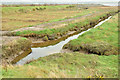 J4972 : Salt marsh, Strangford Lough, Newtownards - November 2014(2) by Albert Bridge