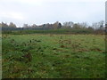 TF0905 : Historic moat and mound in Bainton, Cambridgeshire by Richard Humphrey