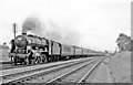 SO8110 : Northbound Summer Saturday express near Haresfield, 1961 by Ben Brooksbank