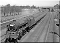 TQ1787 : West Coast Main Line at South Kenton, 1955 by Ben Brooksbank