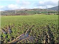 SH5161 : Waterlogged field entrance at the top of a drumlin by Christine Johnstone