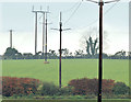 J4470 : Poles and power lines, Comber (November 2014) by Albert Bridge