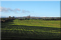 NZ0921 : Long shadows on field by Trevor Littlewood