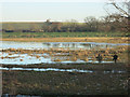 TL4279 : Incompetent wildfowlers on Ouse Washes by Hugh Venables