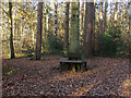 SU8365 : Woodland seat, Heath Lake by Alan Hunt