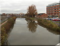 ST2325 : Downstream along the Tone in Taunton by Jaggery