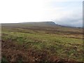 NY4823 : Moorland above Elder Beck by Graham Robson