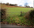 SO2218 : Field gate topped with barbed wire, Great Oak Road, Crickhowell by Jaggery