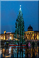 TQ3080 : Christmas Tree, Trafalgar  Square, London W1 by Christine Matthews