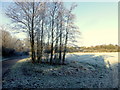 H4772 : Frosty fields, Mullaghmore by Kenneth  Allen