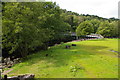 NY7962 : River Allen: footbridge at Plankey Mill by Christopher Hilton