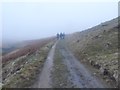 NY4704 : Bridleway below Wray Crag by Anthony Parkes