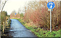 J4668 : Footpath/cycle path, Comber (January 2015) by Albert Bridge